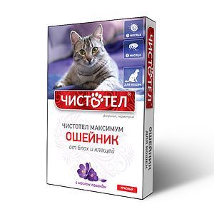 ЧИСТОТЕЛ МАКСИМУМ ошейник пр/бл д/кошек красный