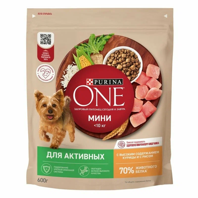 ONE MINI Активная Кур&Рис 600г N1