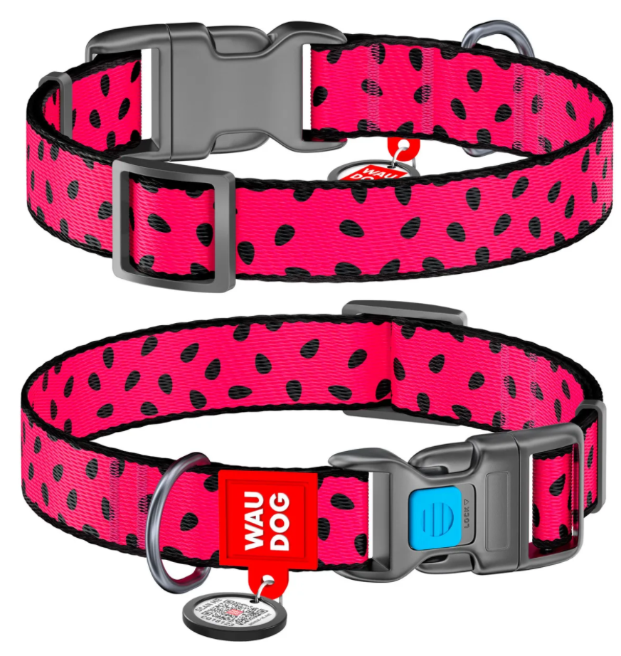 Ошейник для собак нейлоновый WAUDOG Nylon c QR паспортом, рисунок "Арбуз", металлическая пряжка-фастекс, Ш 20 мм, Дл 24-40 см			