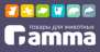 GAMMA