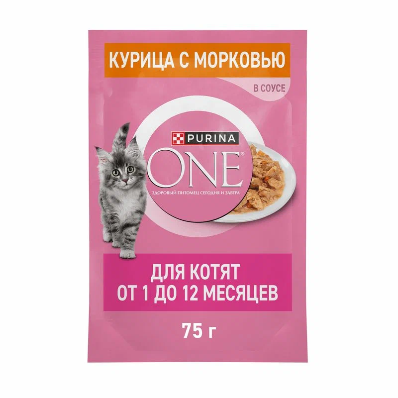 ONE Котят Курица Морковь 75г