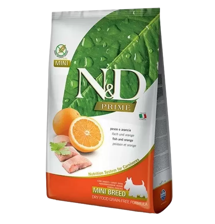 N/D DOG Fish/Orange Adult Mini 2.5 