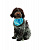Cooling Bandana Косынка охлаждающая для животных 20*20 см