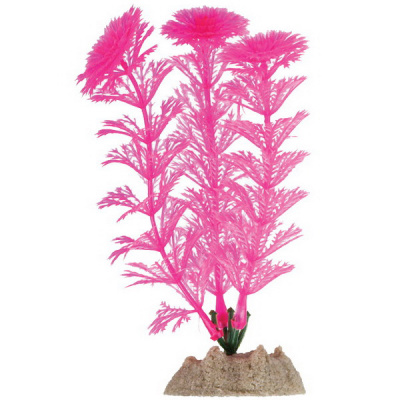 Раст. флуоресцинирующее GloFish 13 см розовое