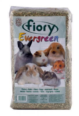 FIORY сено Evergreen 1 кг