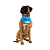 Cooling Bandana Косынка охлаждающая для животных 45*45 см