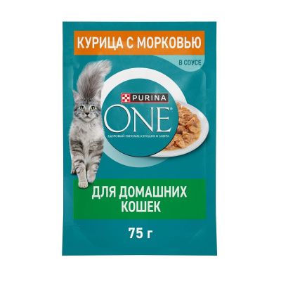 ONE Домашняя Кошка Курица Морковь 75г