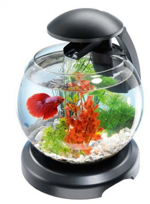 Аквариум TETRA Cascade Globe 6.8 l-круглый 
