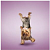 Блокнот на магните Yoga Yorkie
