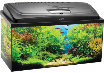 Аквариум AQUAEL"Aqua4KIDS 40" прямой 25л(41*25*25)c оборудованием