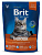 Brit Premium Cat Indoor корм для кошек домашнего содержания с курицей в соусе из куриной печени, 300 гр